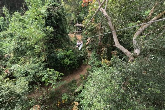 Công Viên Thám Hiểm Kong Forest