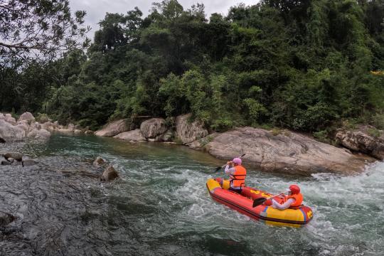 Công Viên Thám Hiểm Kong Forest