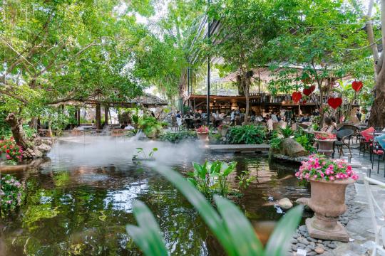 Hoa Đồng Nội