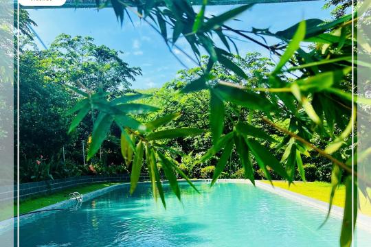 Làng Du Lịch Đồng Mộc