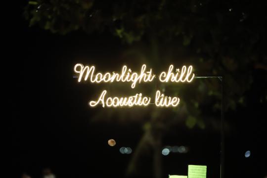 Moonlight Chill