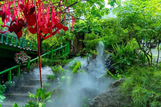 Hoa Đồng Nội