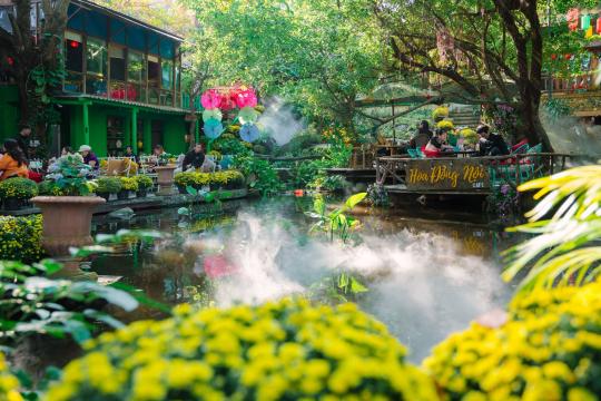 Hoa Đồng Nội