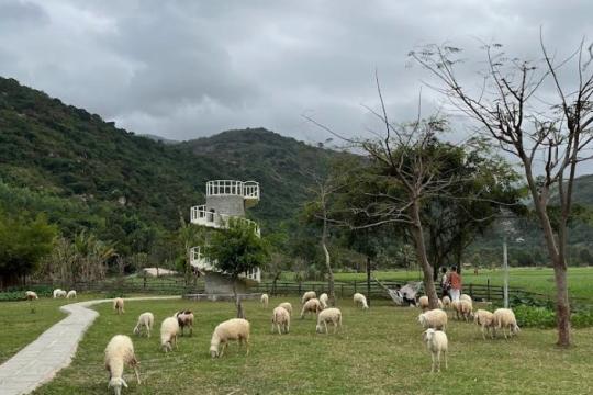 Đồng cừu An Hòa