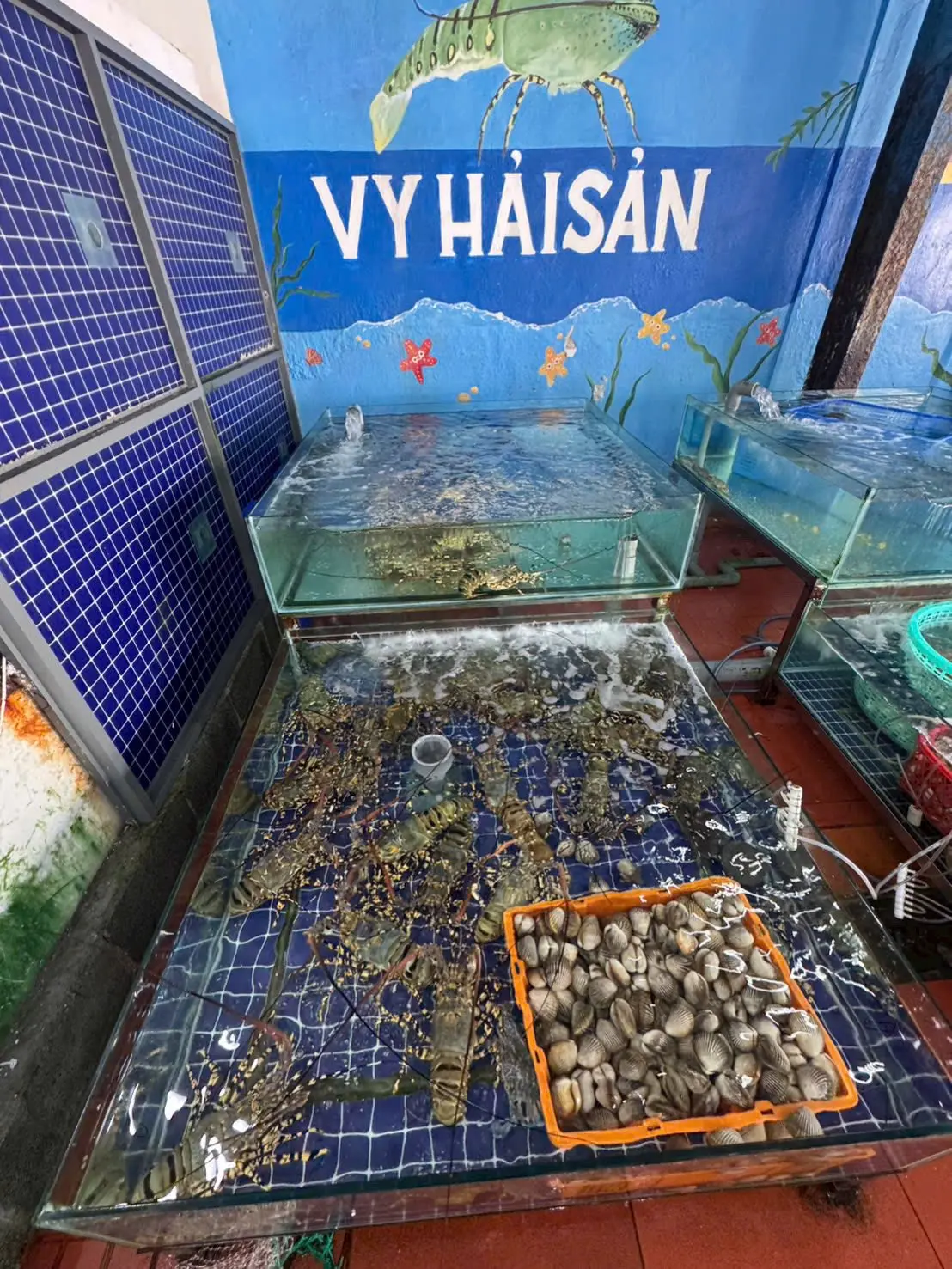 vy-hai-sản