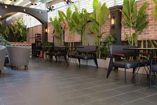 Cafe Culture