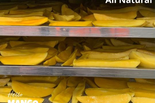 Hello Mango