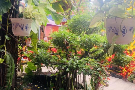 Cafe Heo May