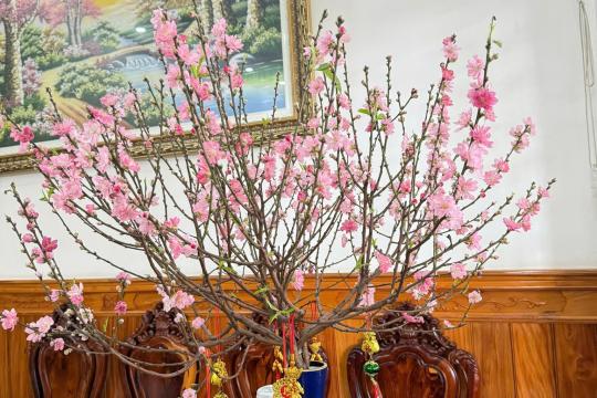 Khách sạn Sơn Hiển