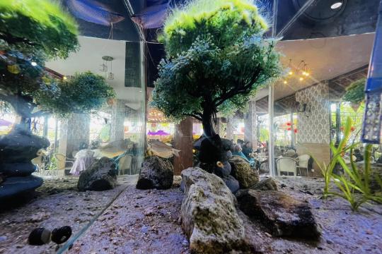 Cà phê Quỳnh Anh