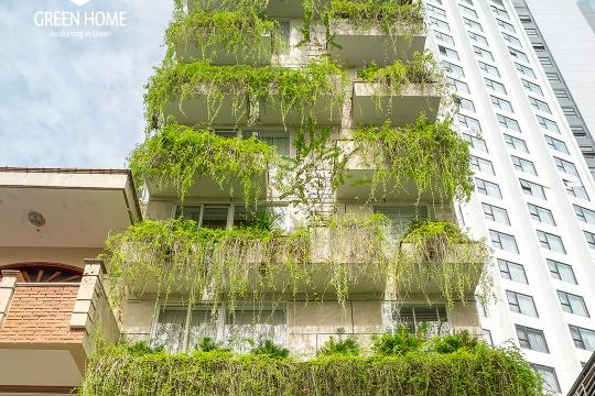Green Home Hotel