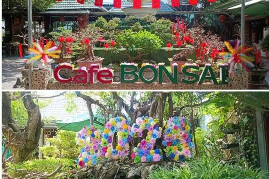 Cafe Bonsai