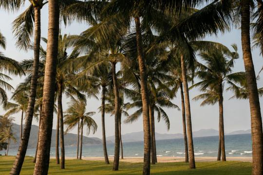 JW Marriott Cam Ranh Bay Resort & Spa