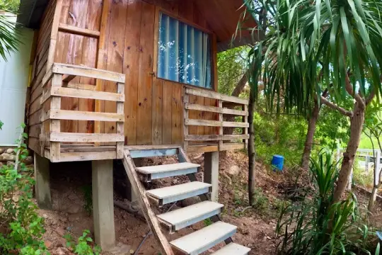 Mèo Homestay Cam Ranh
