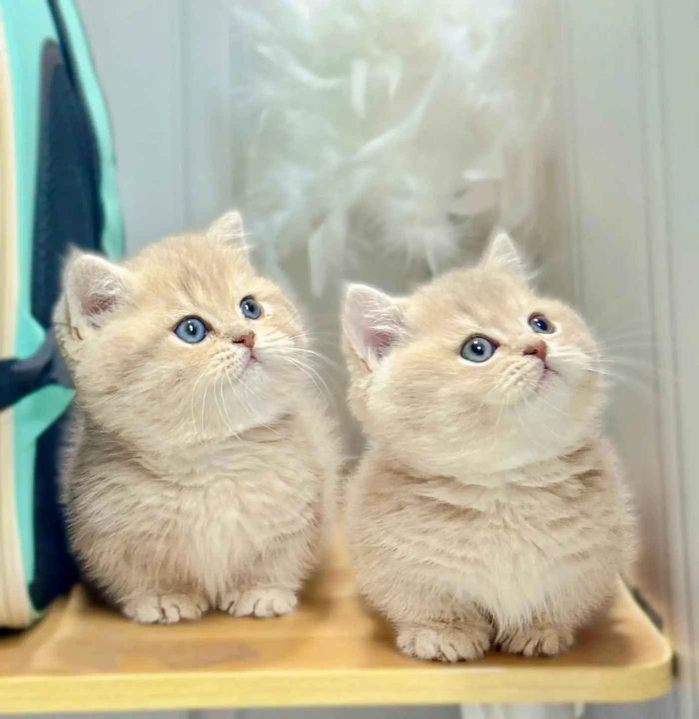 657157056_1500495755414453_4146468660039926814_n