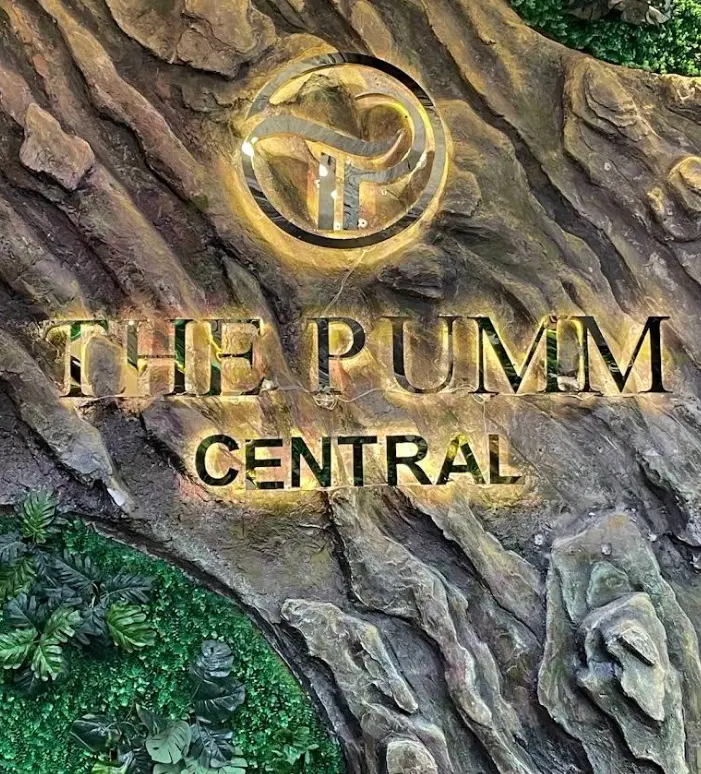 pumm
