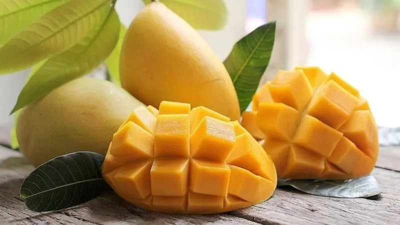 Top 10 Loại Trái Cây Đặc Sản "Gây Nghiện" Cho Khách Quốc Tế Tại Khánh Hòa
