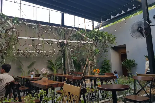 图雷坦普