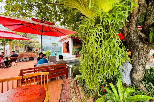 KING-PARKCAFE
