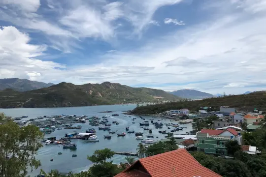 Bãi Tranh