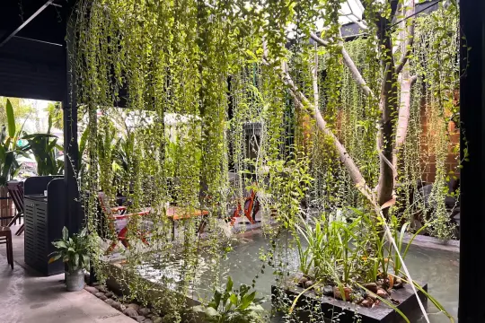 센추리 커피 & 밀크티