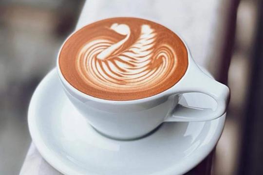Barista Café