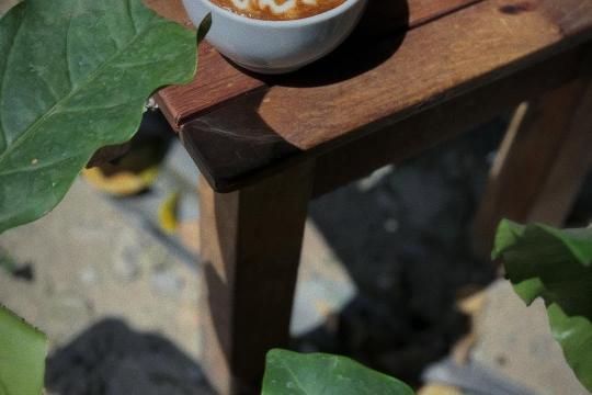 Barista Café
