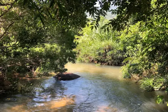 Đập Tân Phú