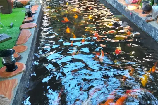Cà Phê Giai Điệu Phan Rang Khánh Hòa