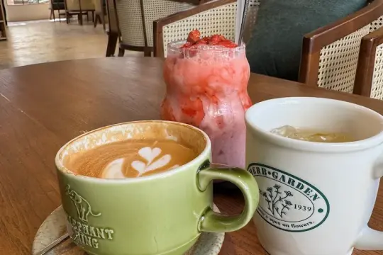 Hạt Cà Phê Phan Rang Khánh Hòa