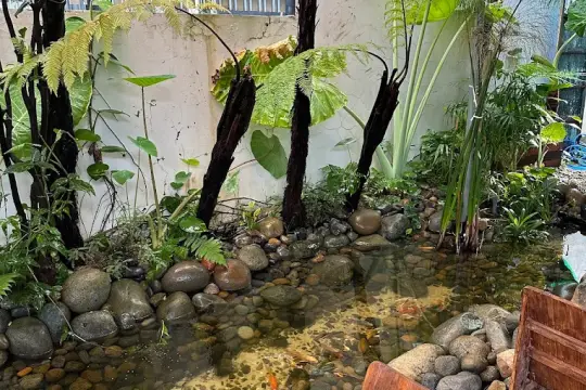 宁静时光——北芽庄咖啡馆与旧书店