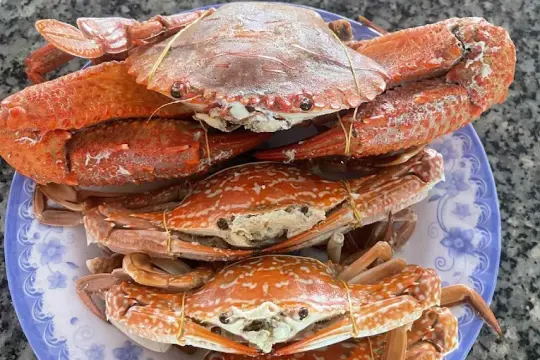 노 베 주점