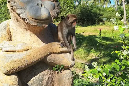 몽키 아일랜드 (Hòn Lao)