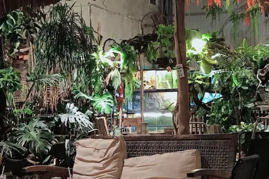 Quán Tooru Coffee