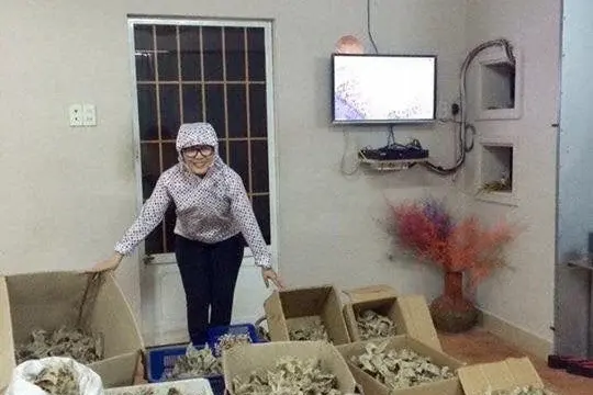 Ласточкины гнезда Нгок Тхао