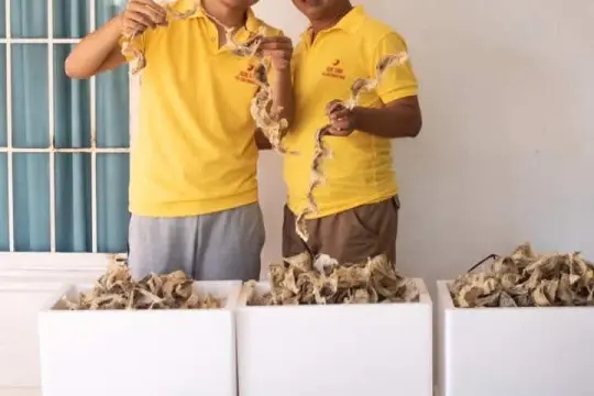 Ласточкины гнезда Нгок Тхао