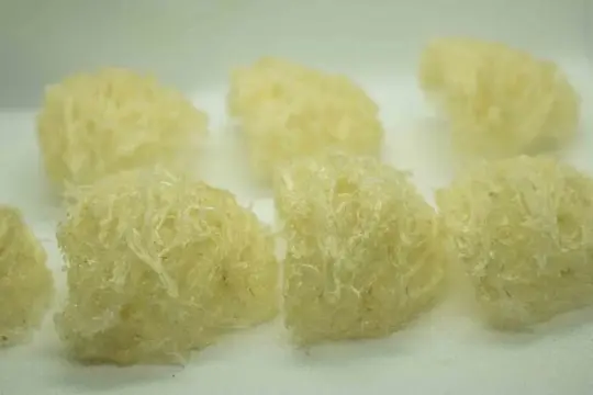 Yến Sào Ngọc Thảo