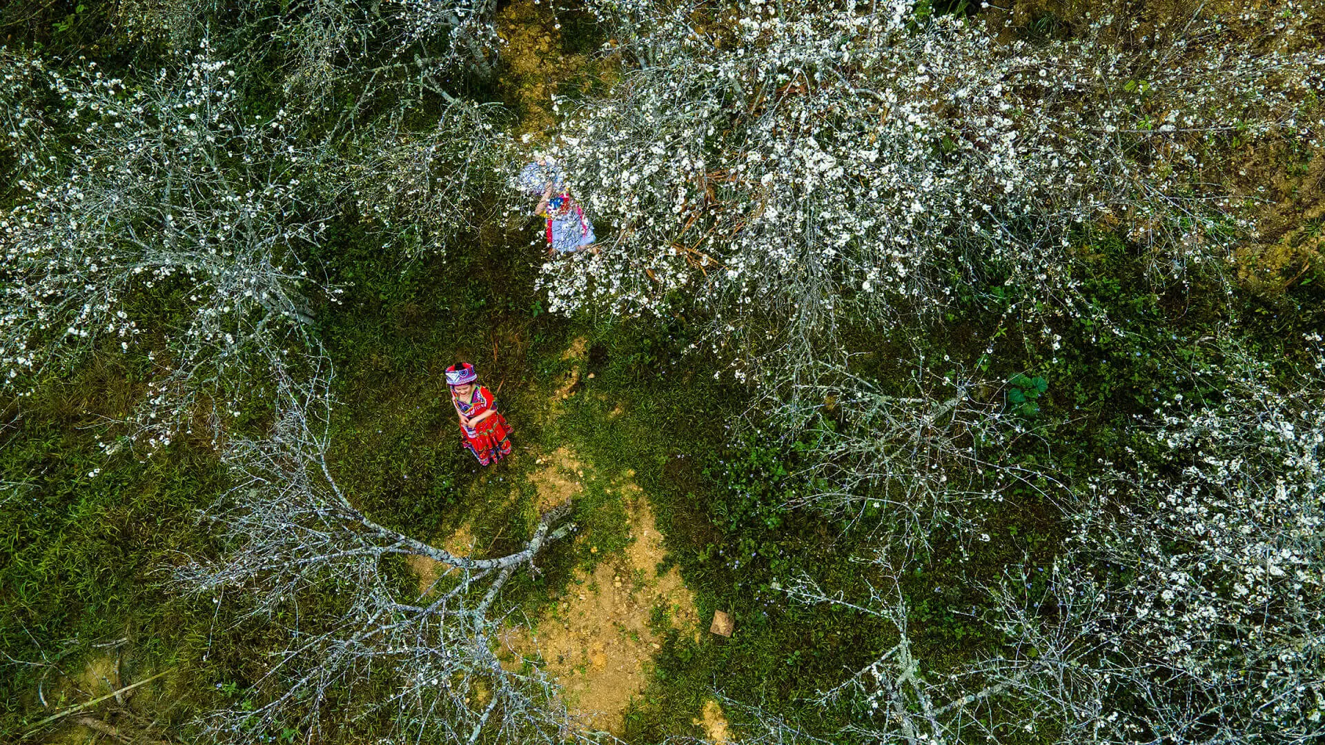 breadcrumb background