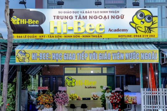Hi-Bee Academy