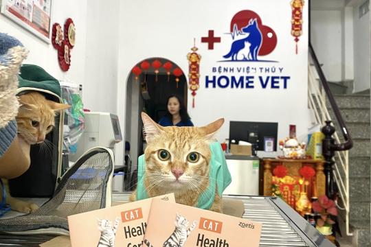 Home Vet Veterinary Hospital Nha Trang