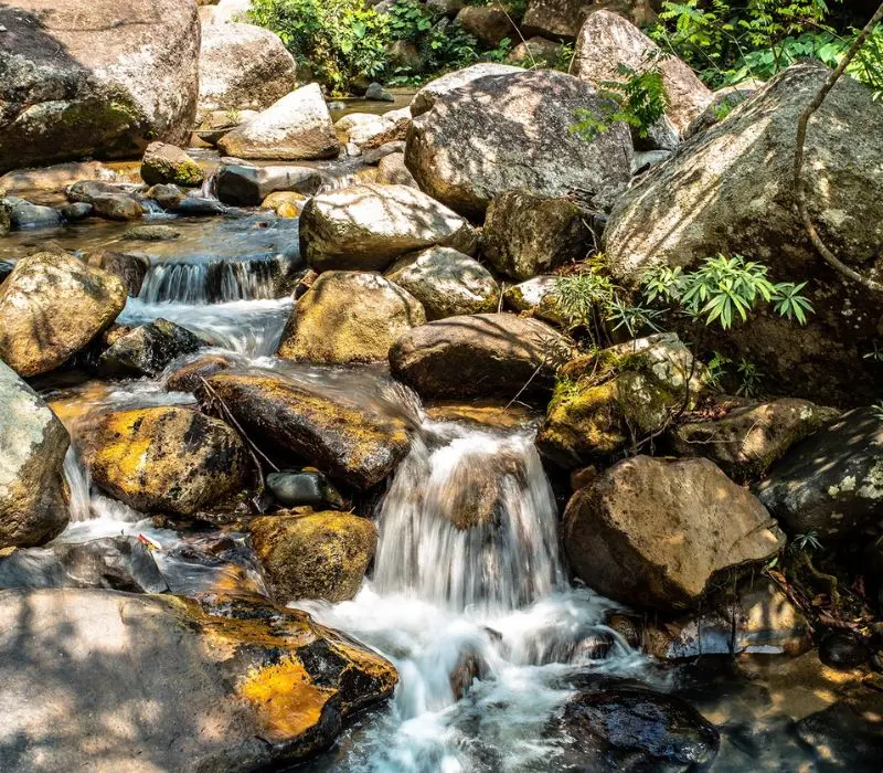 Suối Tiên Nha Trang