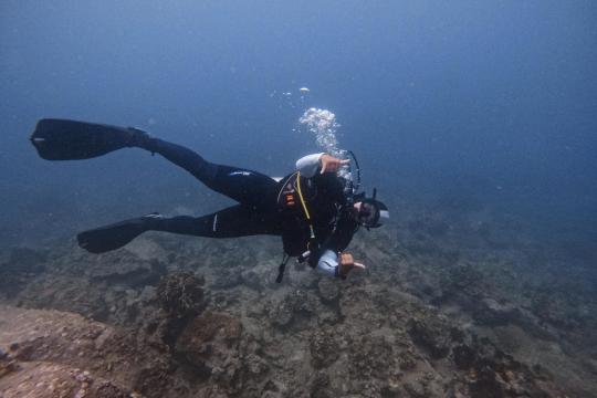 Ecodive Vietnam - PADI Dive Centre Nha Trang