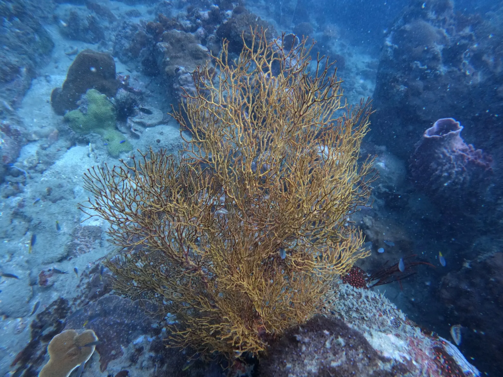 590227205_122271006716202393_3731572873836431611_n