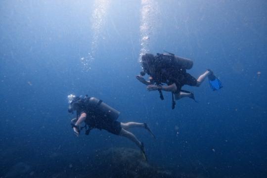 Discover Scuba Diving