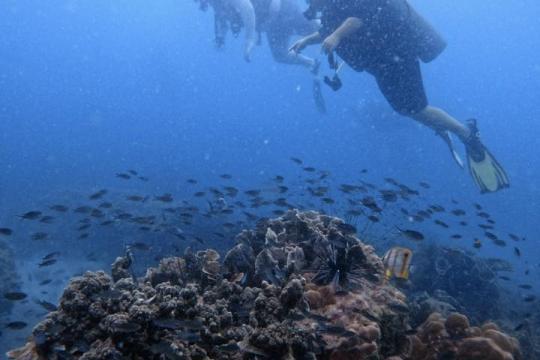 Fun Diving Nha Trang