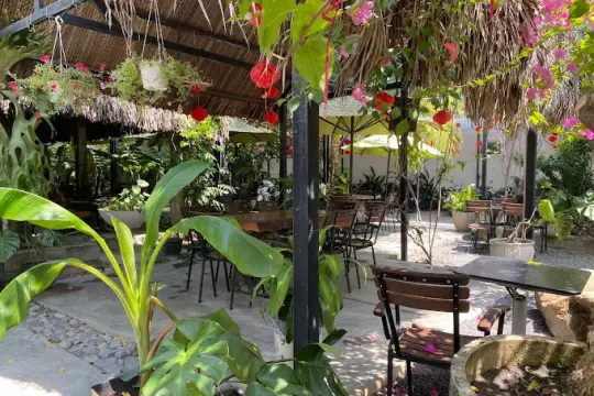 Bảo Nguyên Coffee