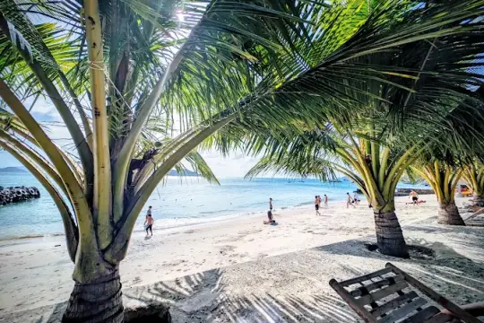 Bãi Tranh Nha Trang