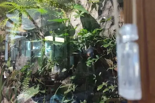 Cà phê Cọ Cam Ranh