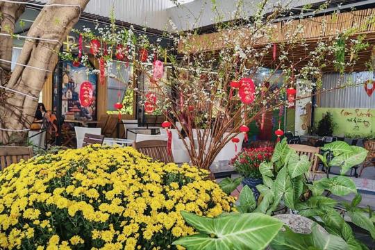 cafe Vivu Камлинь