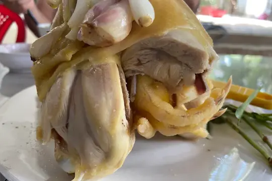 가찌하오